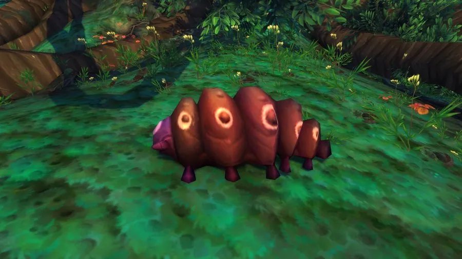 Bombyx.