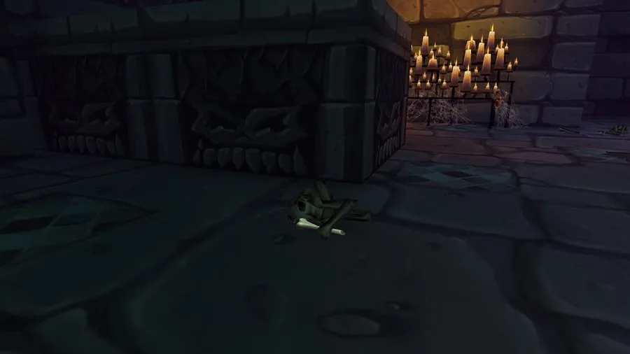A closer look at the bones.